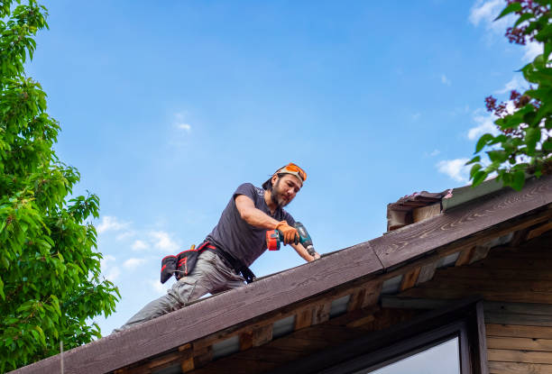 Best Roof Coating and Sealing  in Rome, NY